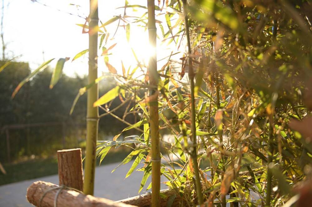 Photo of Outdoor in Beijing