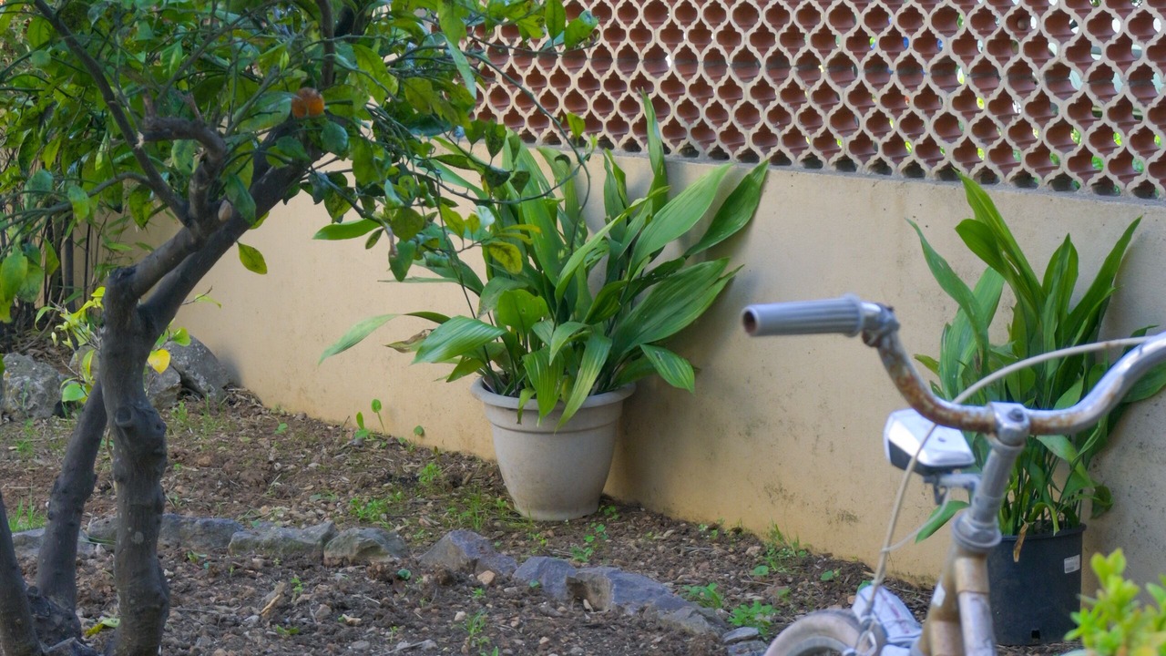 Photo of Outdoor in Island Hvar