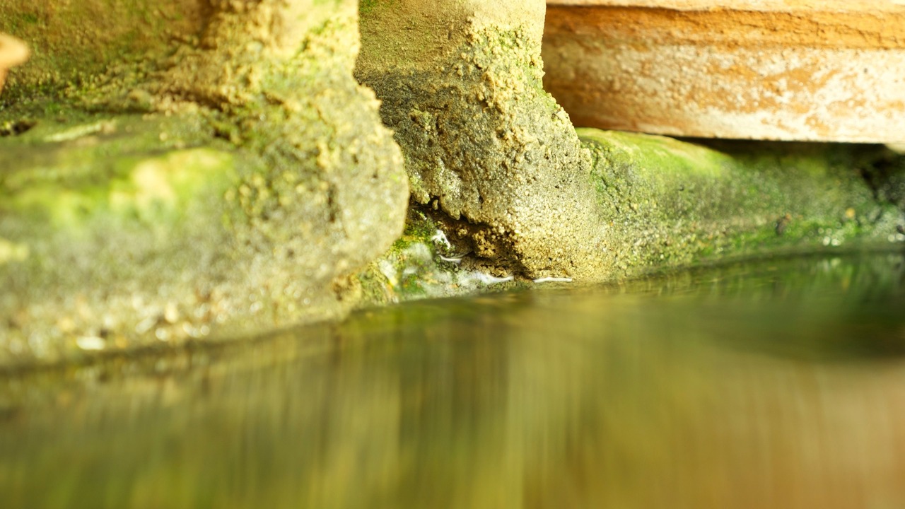 Photo of Outdoor in Torres Novas