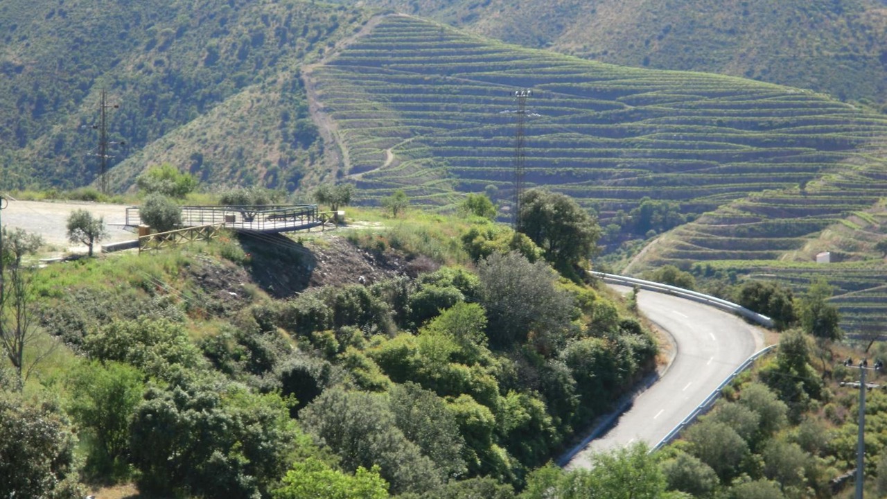 Photo of Outdoor in Vila Nova de Foz Coa