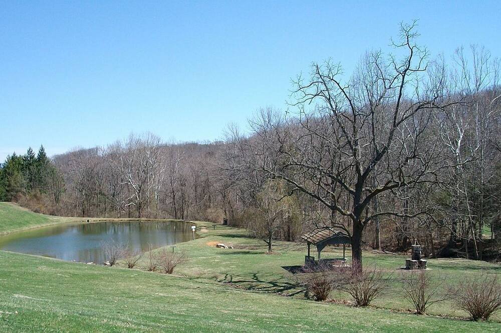 Photo of Others in McGaheysville