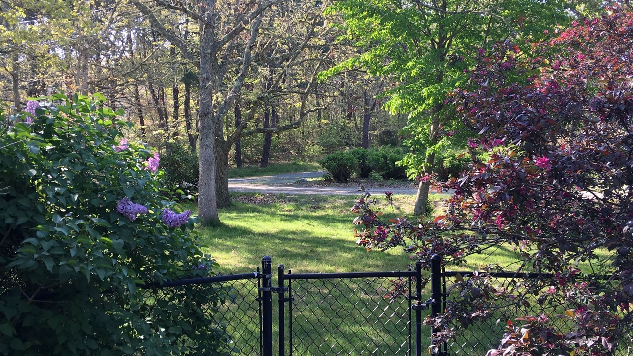 Photo of Outdoor in West Chatham