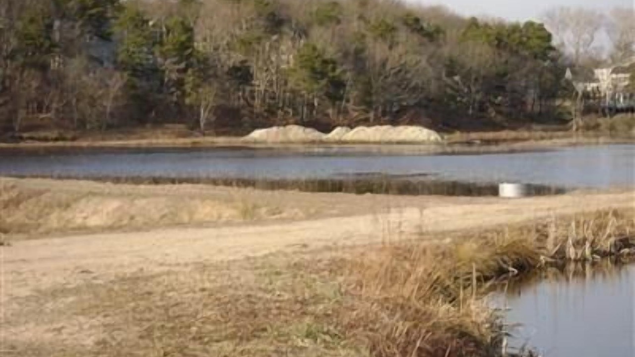 Photo of Others in West Chatham