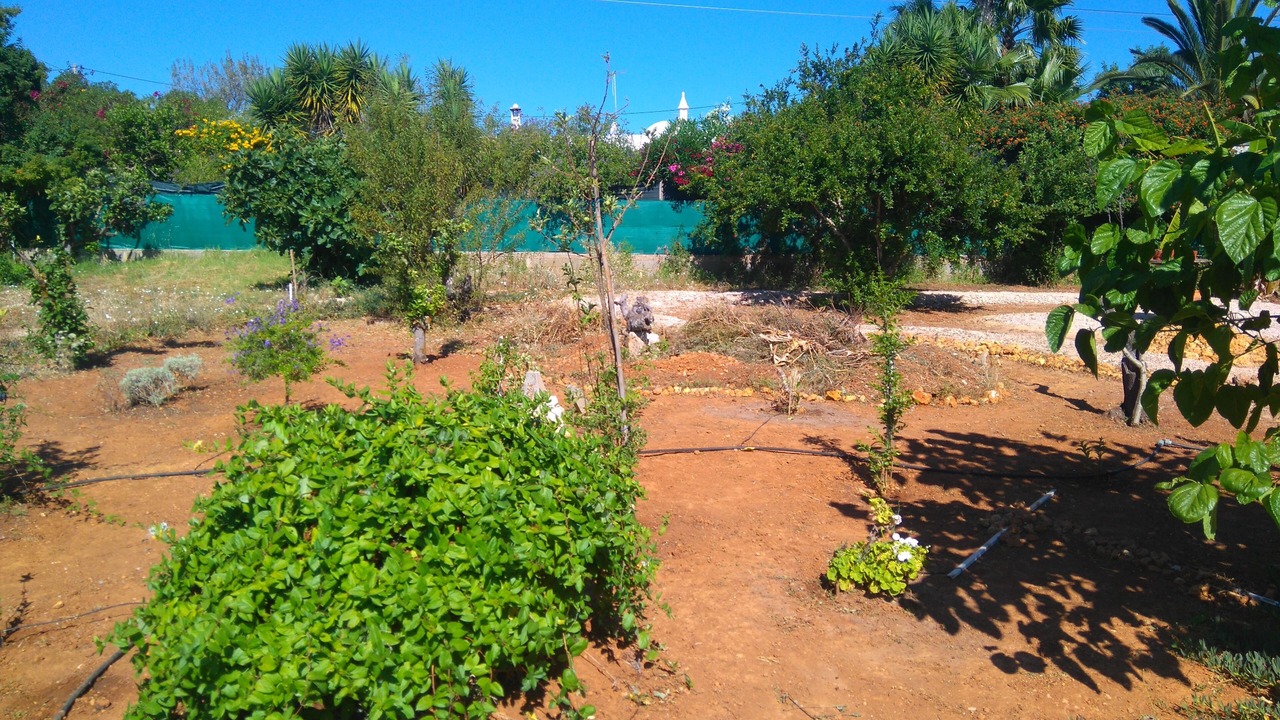 Photo of Outdoor in Alpouvar