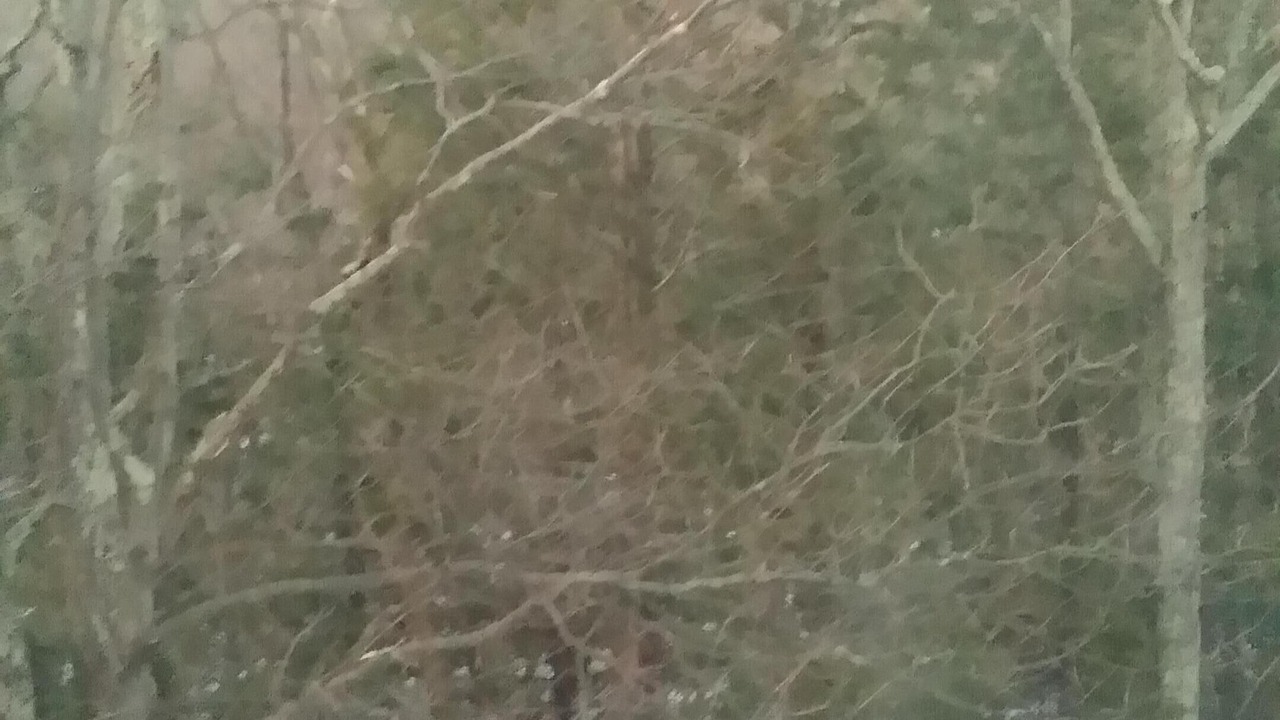 Photo of Outdoor in Woodstock