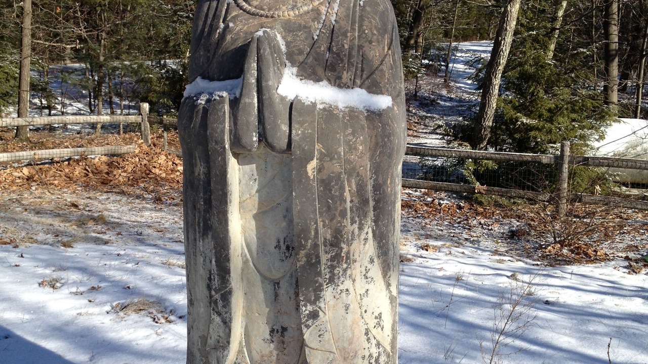 Photo of Outdoor in Woodstock