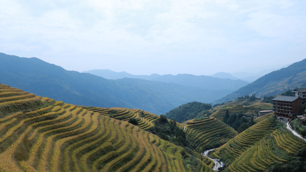 Photo of Others in Xiufeng