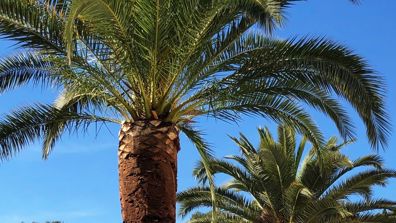 Photo of Outdoor in Cassis