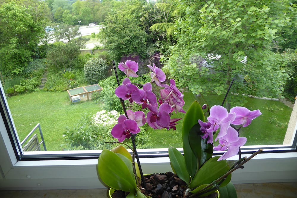 Photo of Outdoor in Muttenz