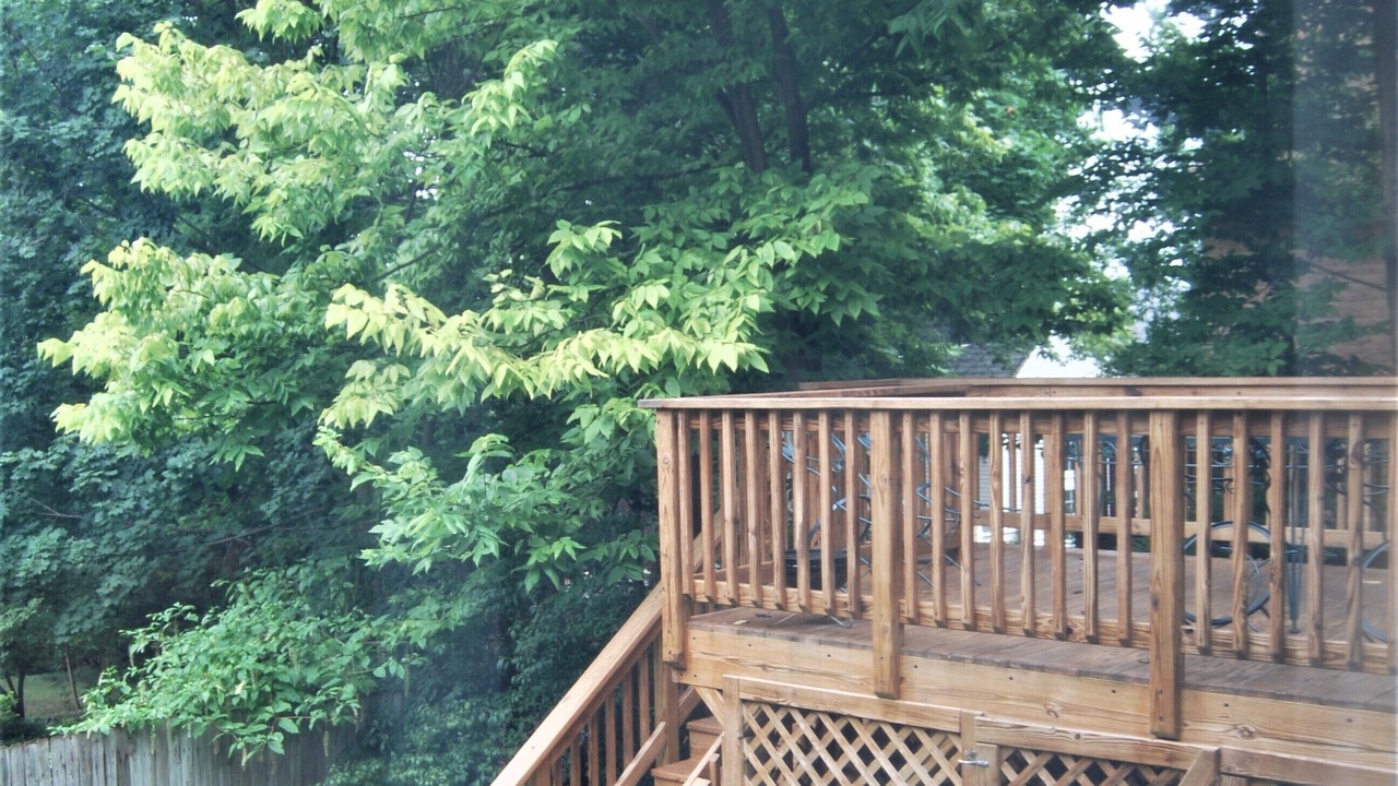 Photo of Outdoor in Staunton