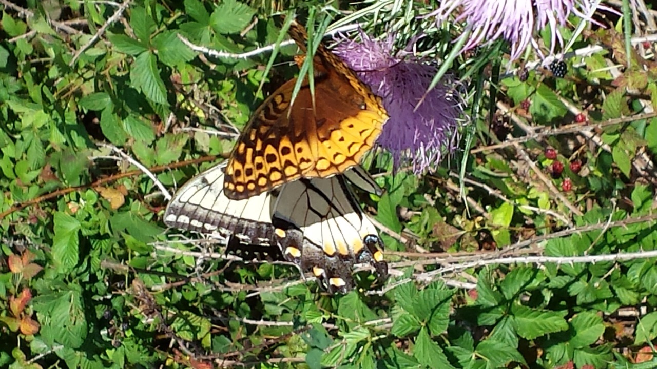 Photo of Outdoor in Vesta