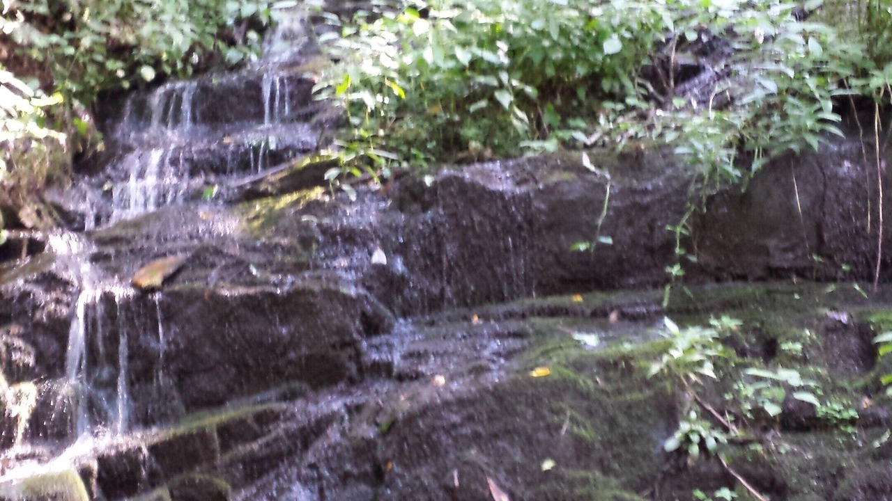 Photo of Outdoor in Vesta