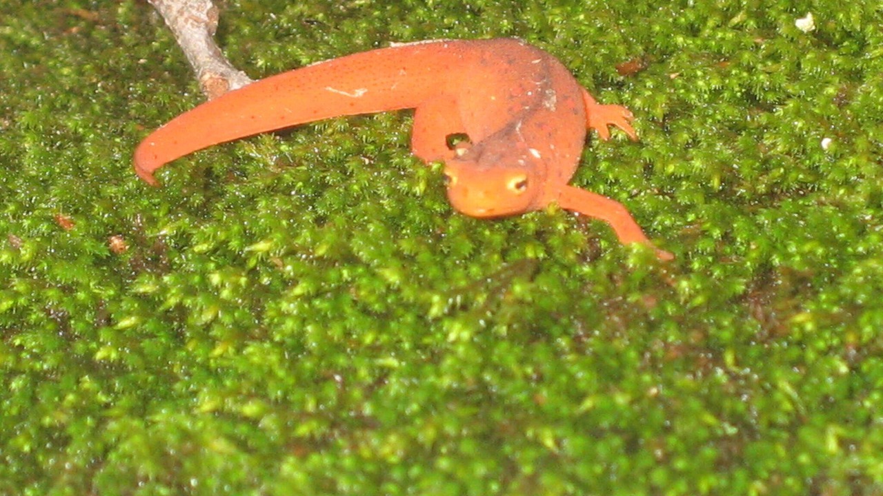 Photo of Outdoor in Vesta