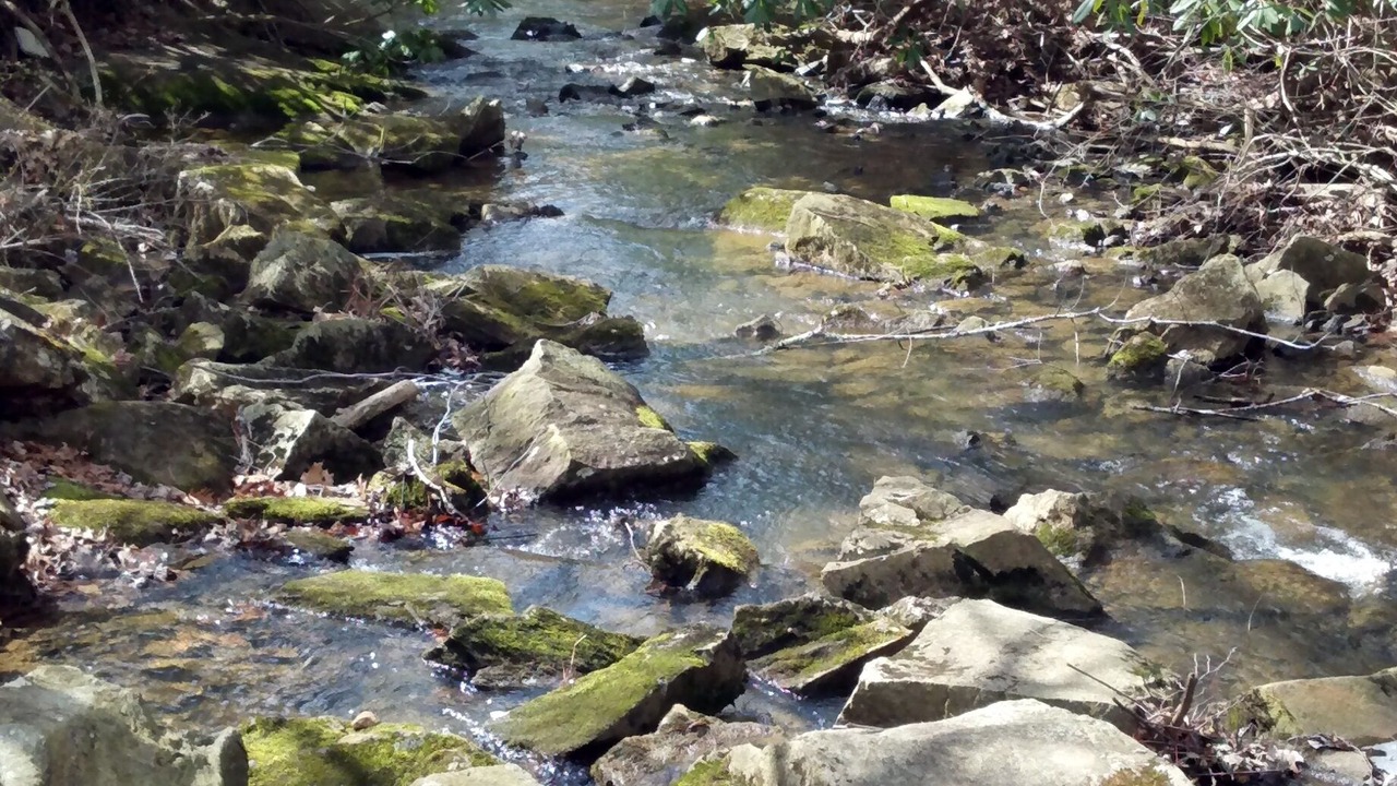 Photo of Outdoor in Vesta