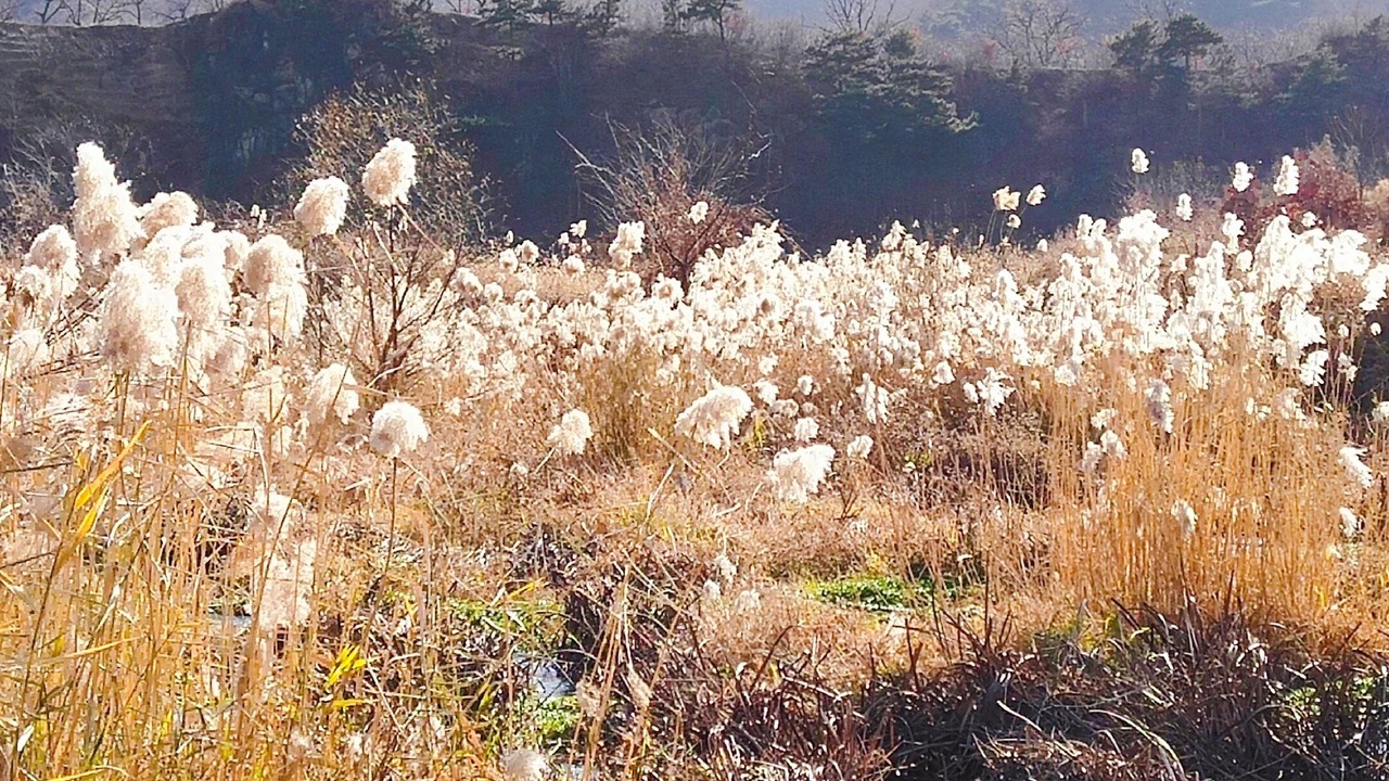 Photo of Outdoor in Huairou