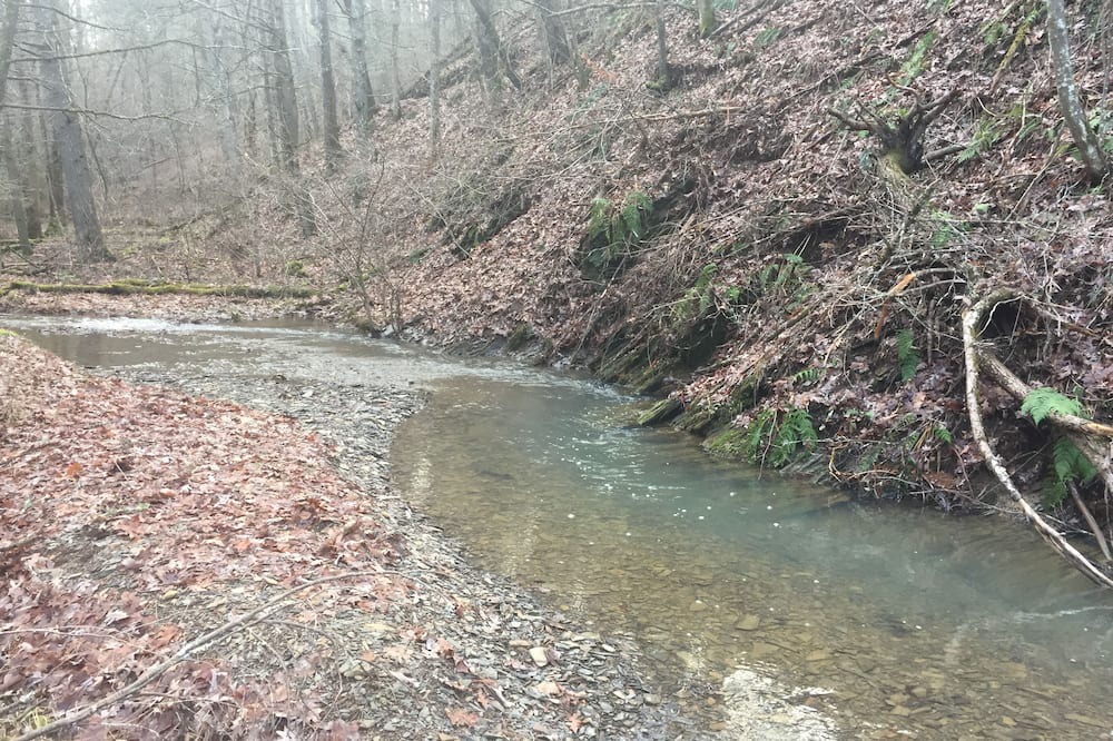 Photo of Others in Hot Springs