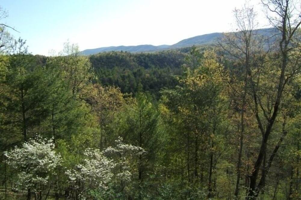 Photo of Others in Hot Springs