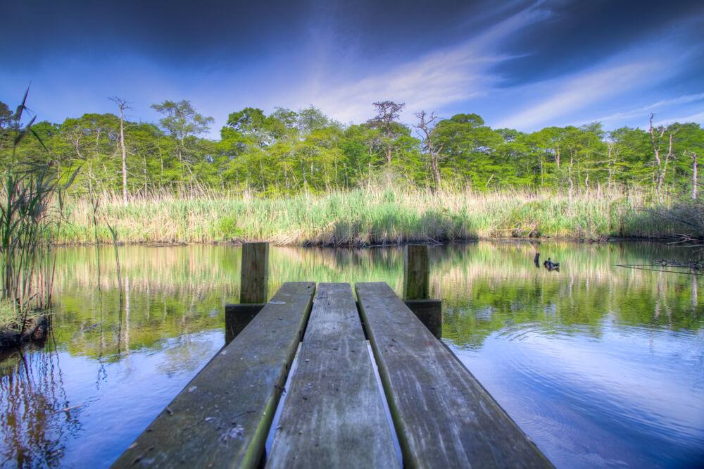 Photo of Outdoor in East Patchogue