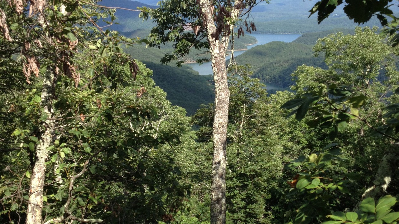 Photo of Outdoor in Hot Springs