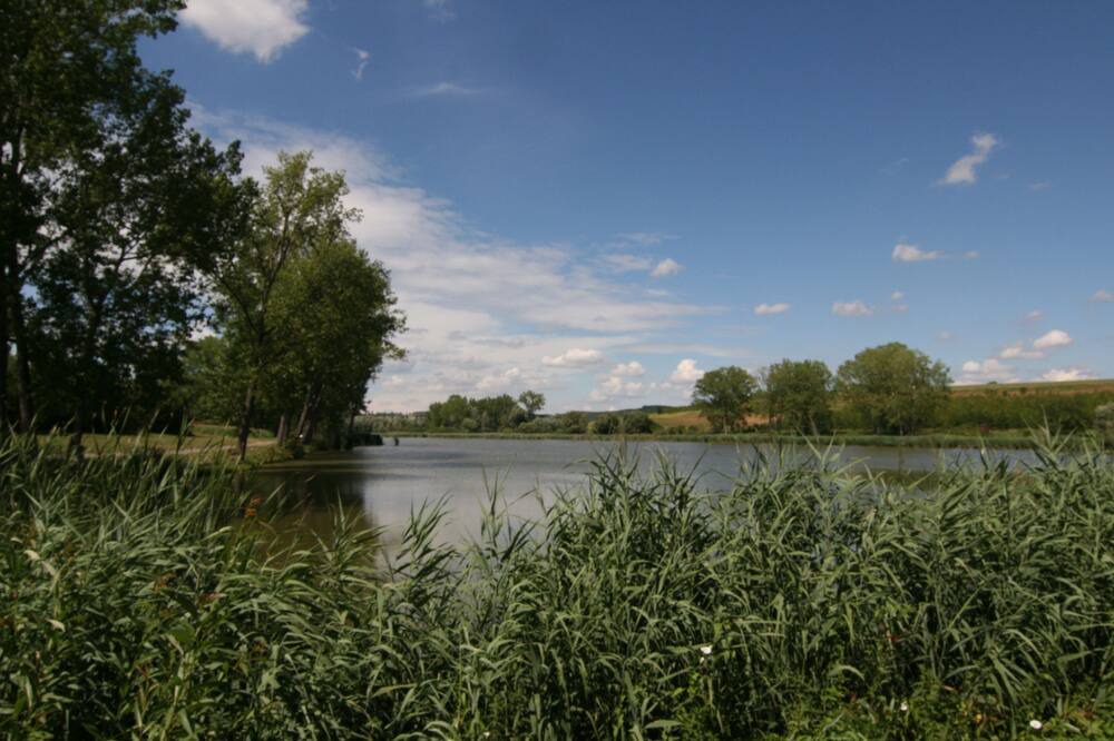 Photo of Outdoor in Boldogasszonyfa