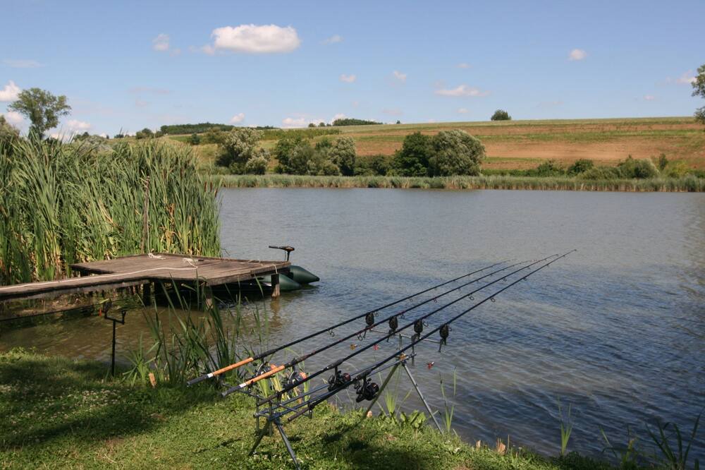 Photo of Outdoor in Boldogasszonyfa