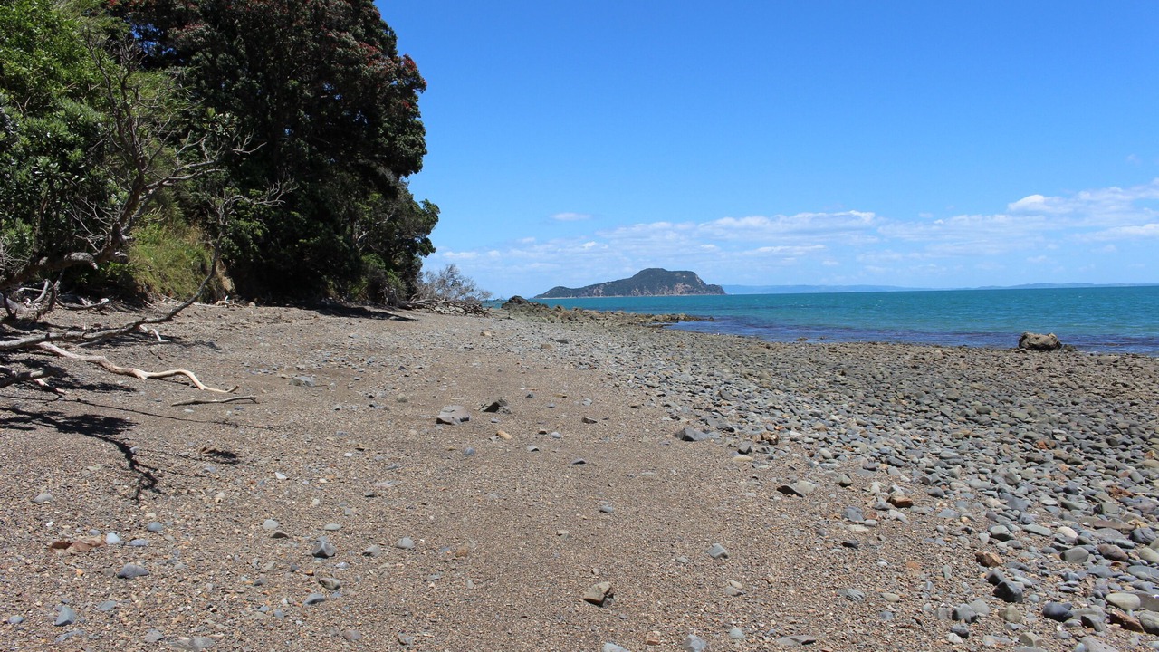 Photo of Others in Amodeo Bay