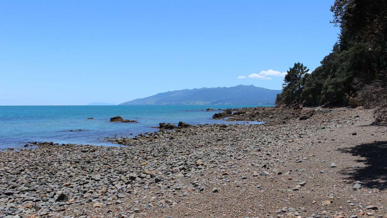 Photo of Others in Amodeo Bay