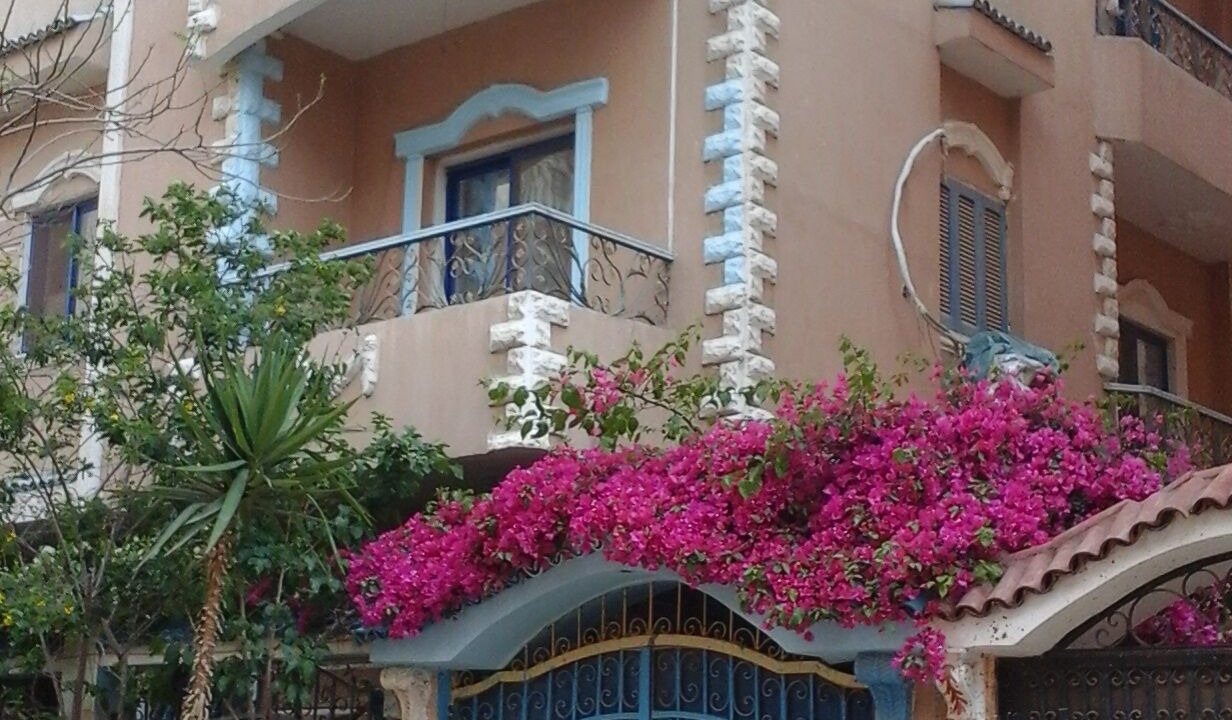 Photo of Outdoor in Obour City