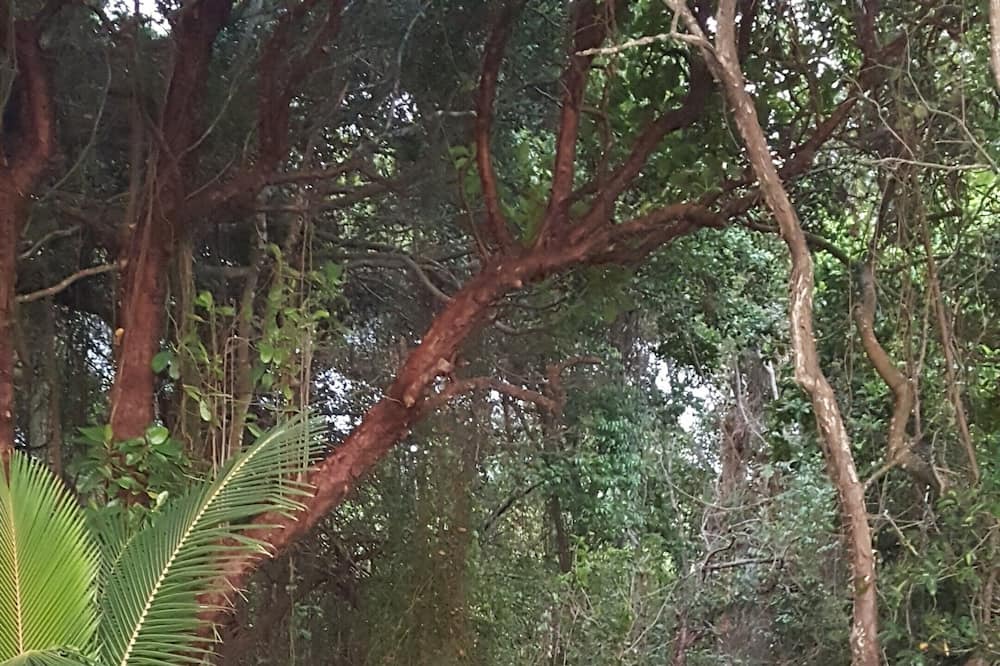 Photo of Outdoor in Craiglie
