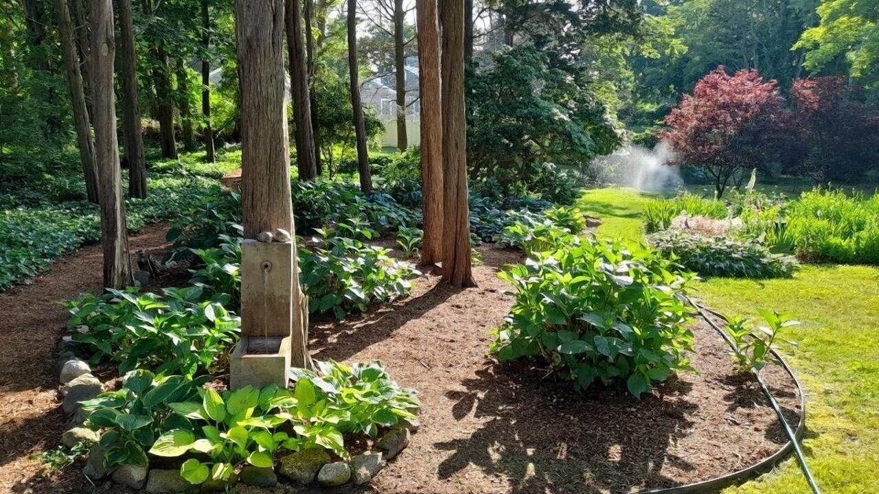 Photo of Outdoor in Orleans