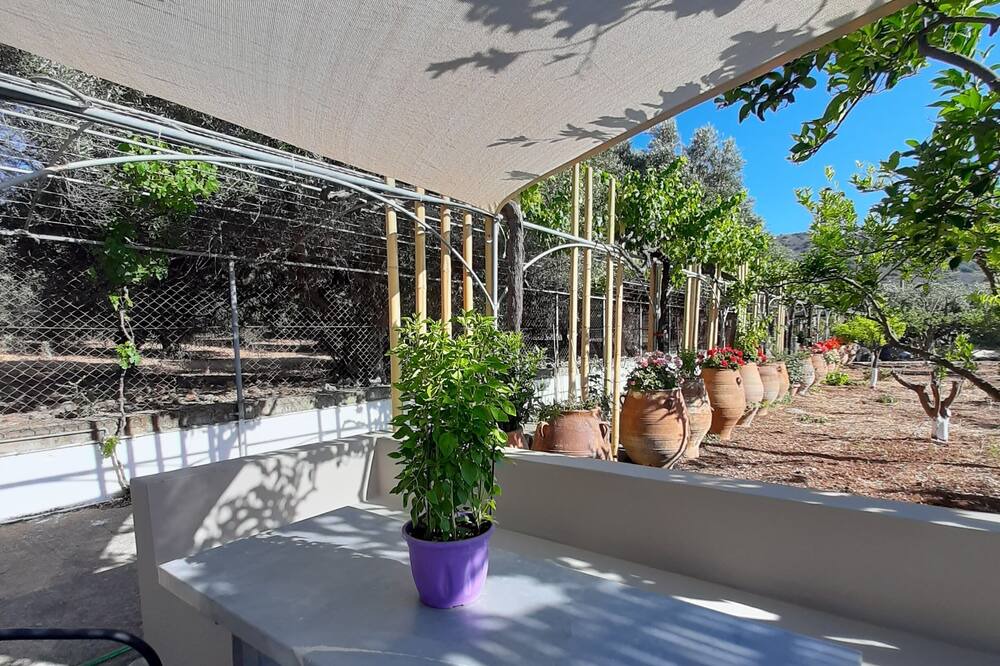 Photo of Patio Balcony in Kounelion