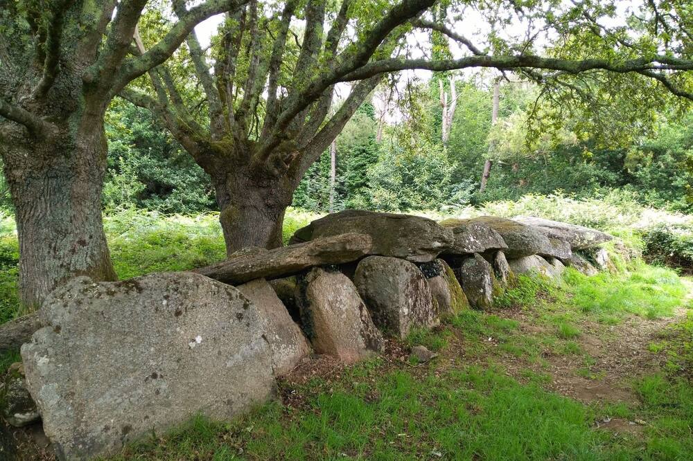 Photo of Outdoor in Kerherou