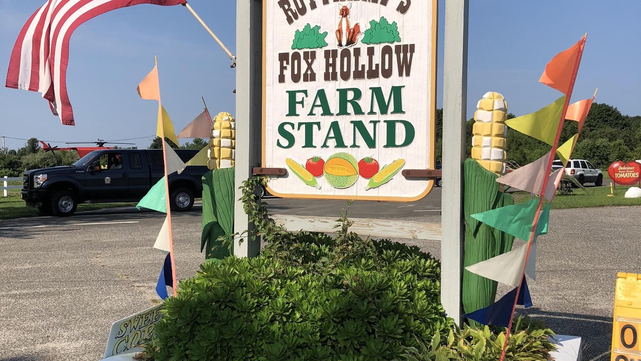 Photo of Outdoor in Baiting Hollow
