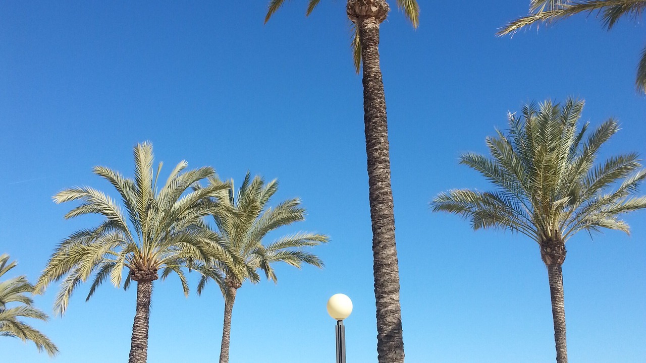 Photo of Outdoor in El Albir