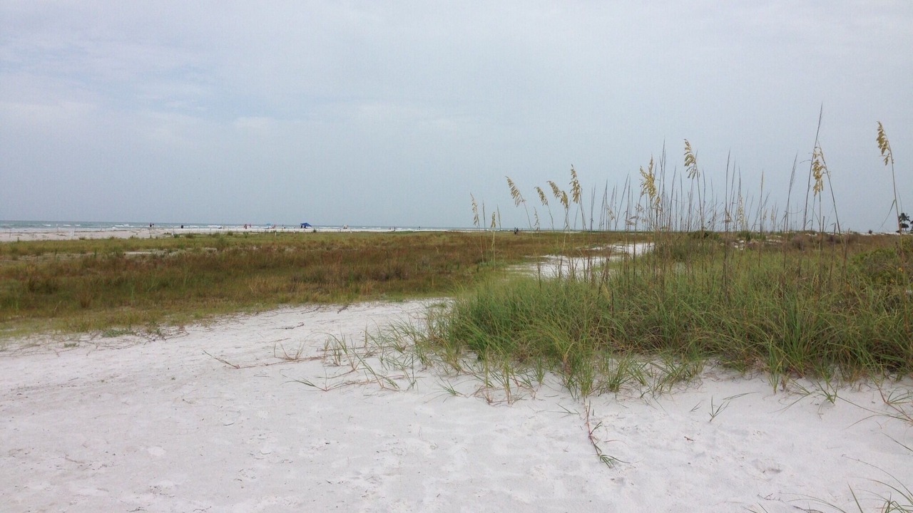 Photo of Others in Siesta Key