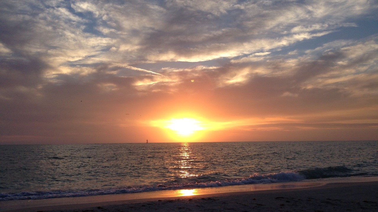 Photo of Others in Siesta Key