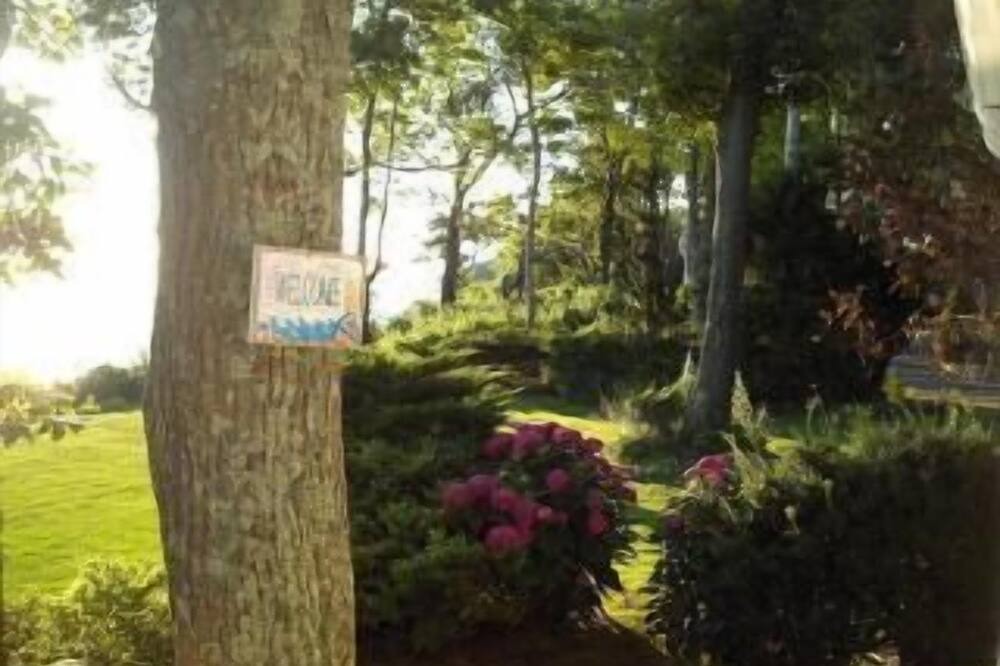 Photo of Outdoor in Rocky Point