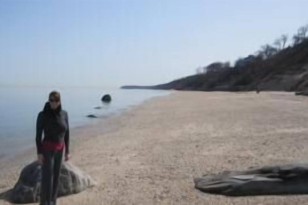 Photo of Others in Rocky Point