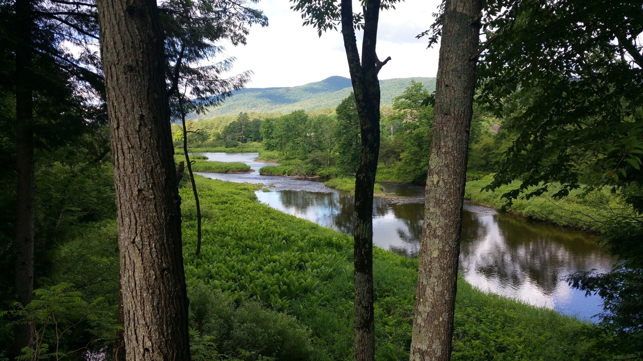 Photo of Outdoor in Wells