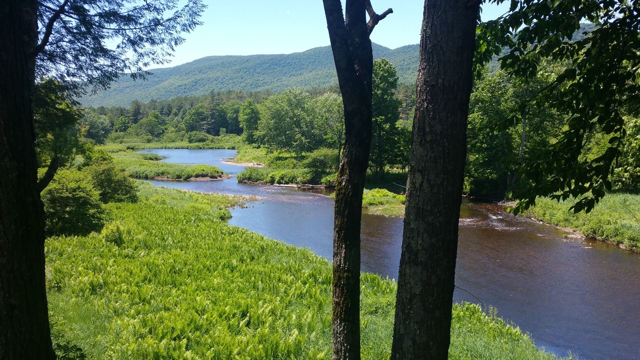 Photo of Outdoor in Wells