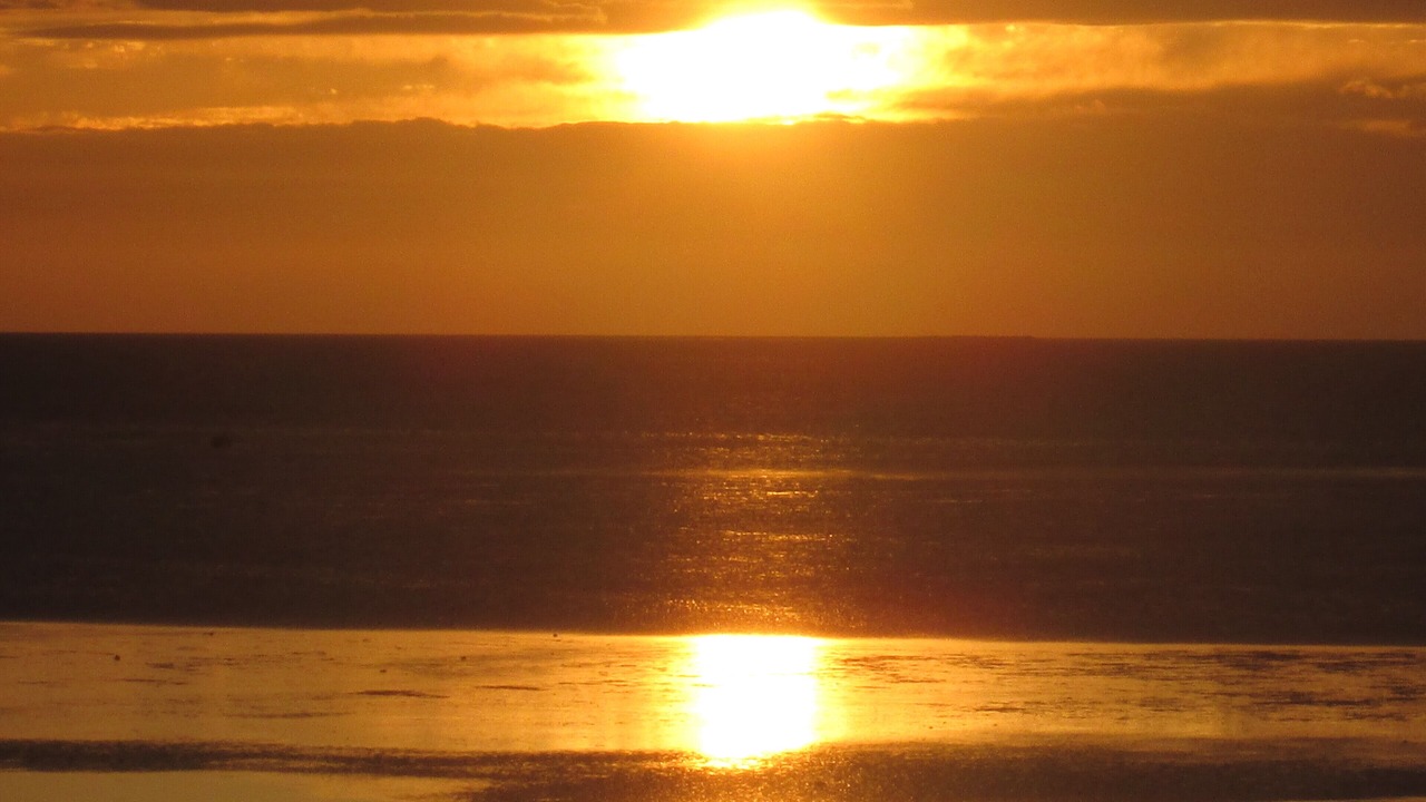 Photo of Others in North Eastham