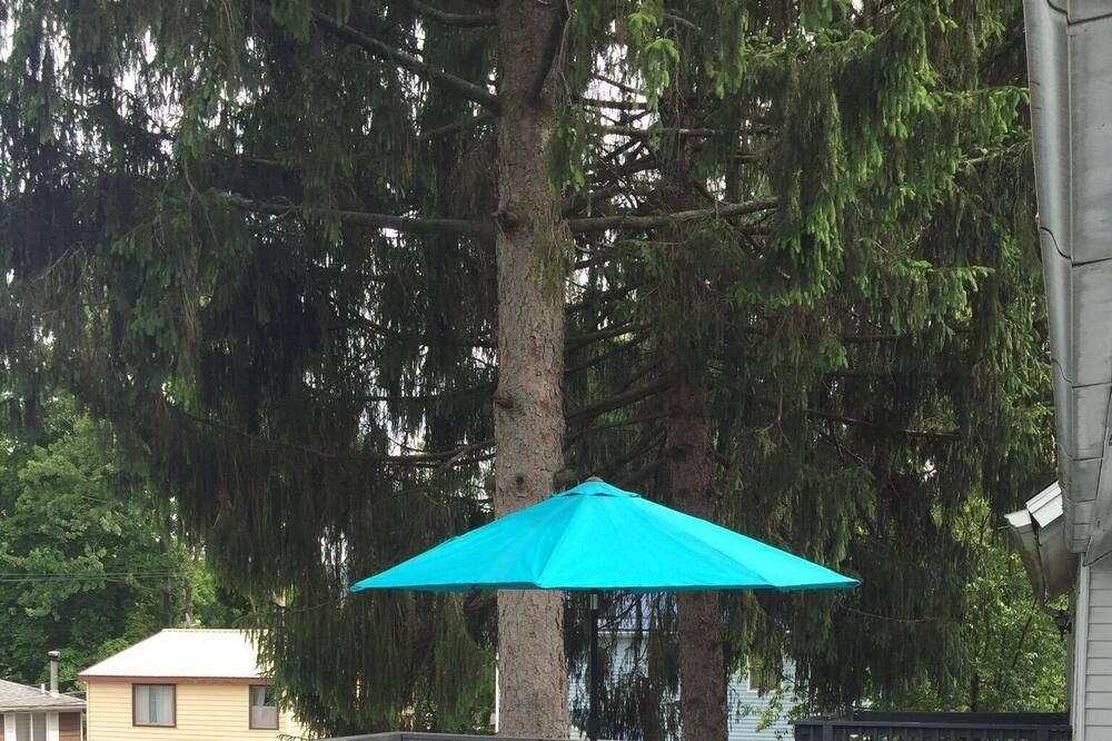 Photo of Others in Honeoye