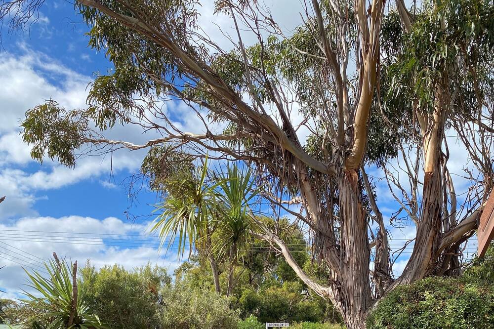 Photo of Outdoor in Kingscote