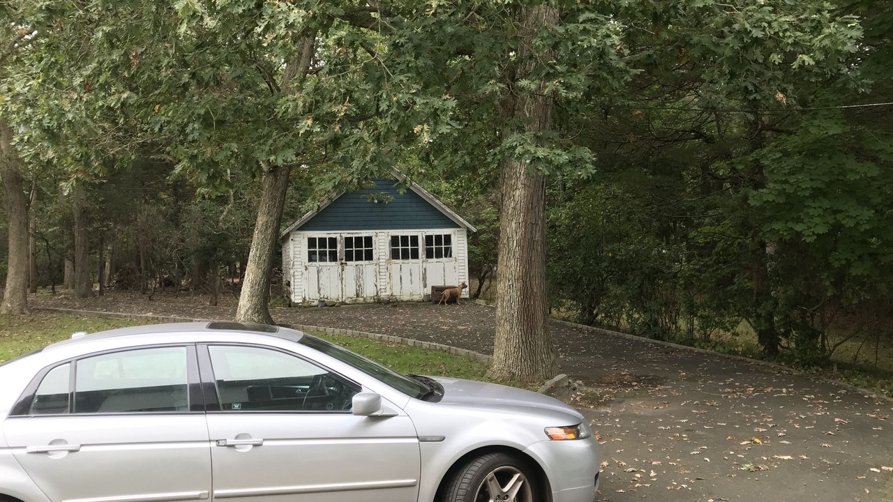 Photo of Outdoor in Miller Place