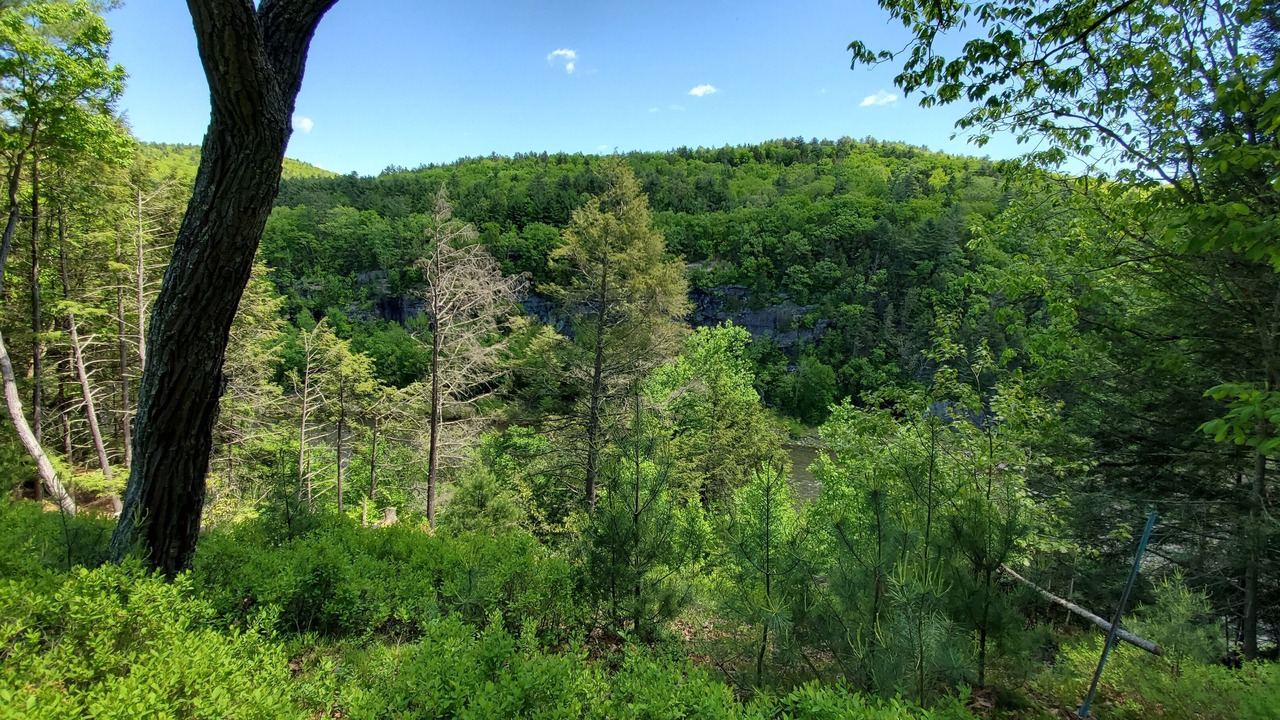 Photo of Outdoor in Shohola