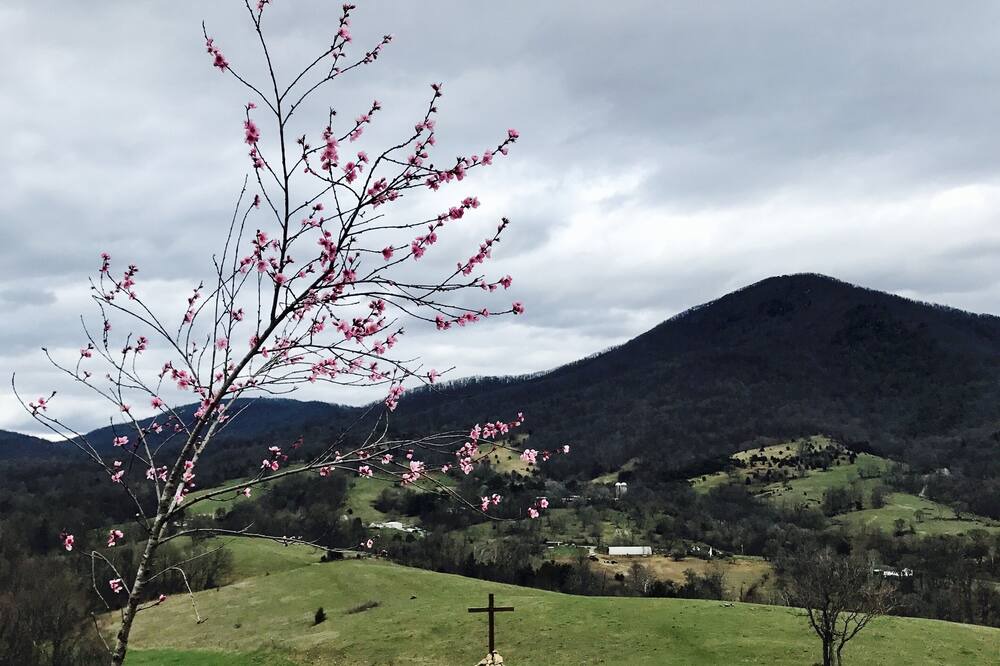 Photo of Outdoor in Peaks