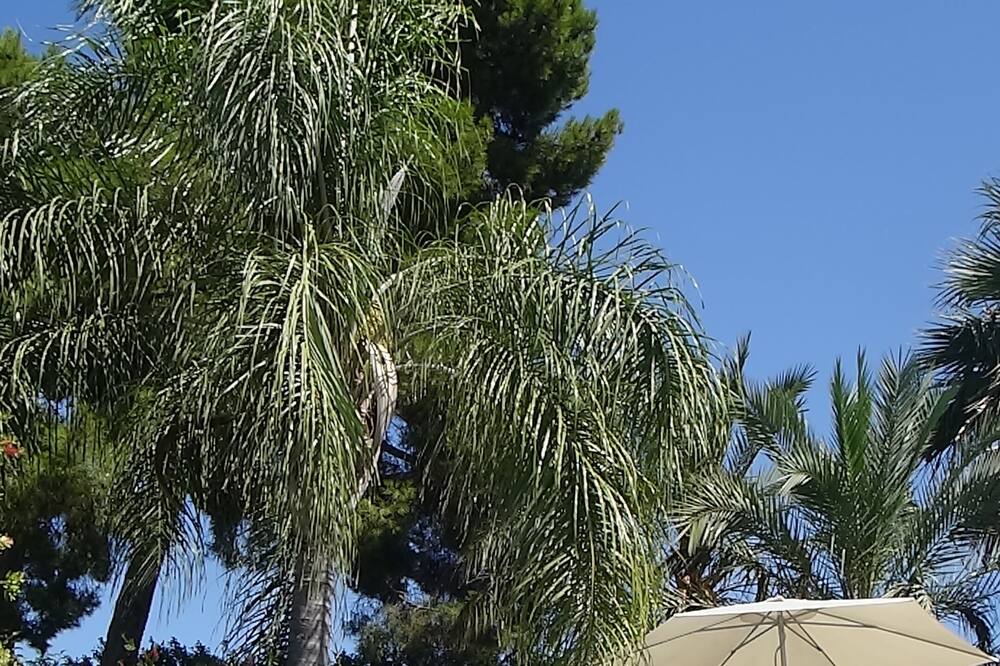 Photo of Outdoor in Torrent