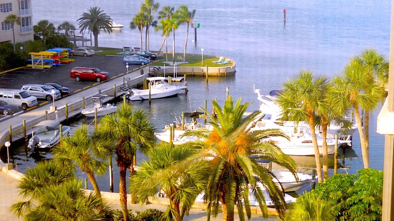 Photo of Others in Siesta Key