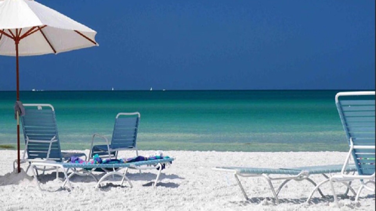 Photo of Outdoor in Siesta Key