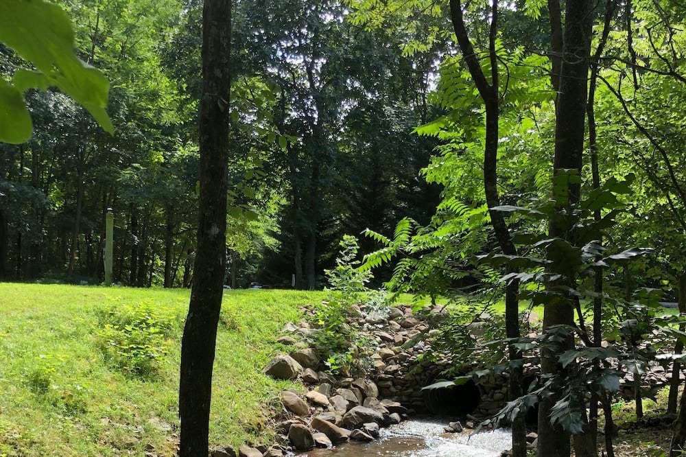 Photo of Outdoor in Nellysford